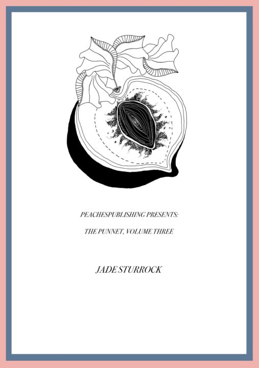 Cover of jade Sturrock's Artist zine by Peaches Publishing